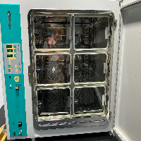 Thermo Scientific BBD 6220 Incubator image 2